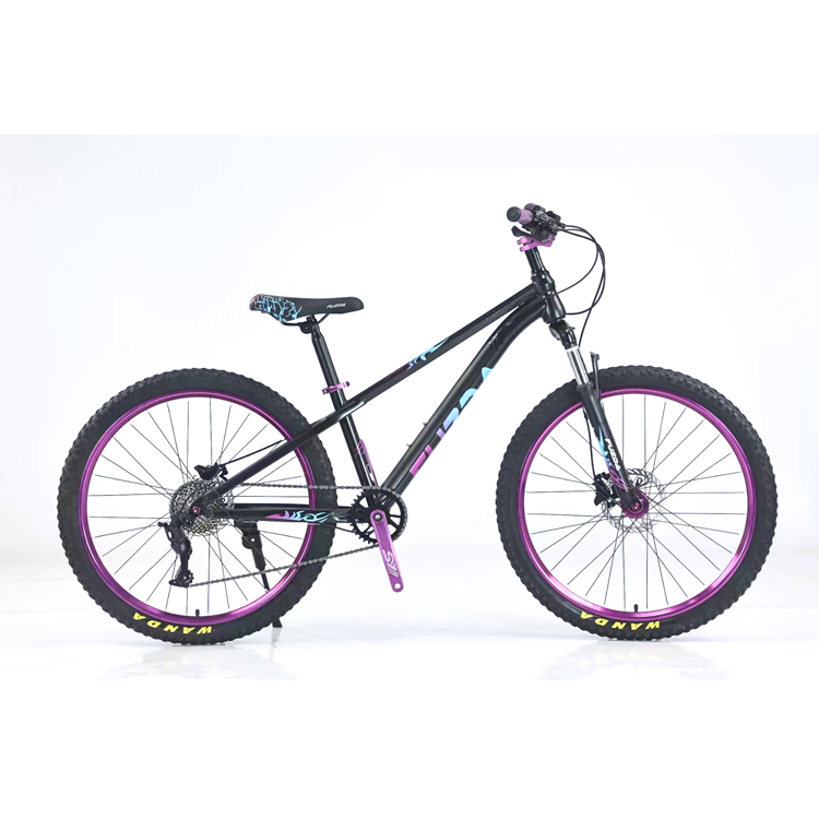 MOUNTAIN BIKE ADULT 26INCH 21SPEED 